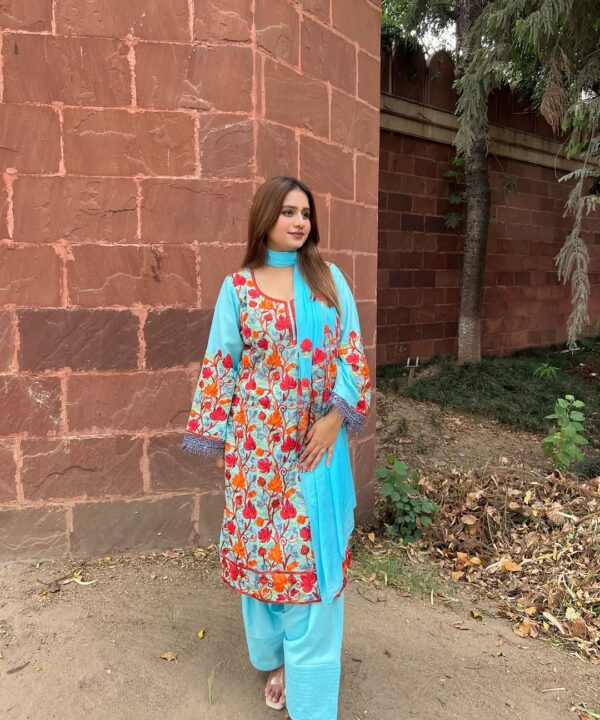 Kashmiri Sky Aari Bloom Suit Set