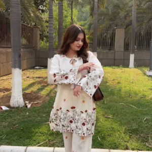 video-capture-t0000.00seg-1046 video-capture-t0000.00seg-1046