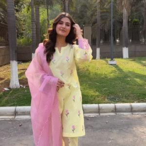 video-capture-t0006.82seg-700 video-capture-t0006.82seg-700